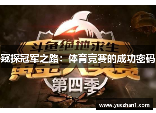 窥探冠军之路：体育竞赛的成功密码