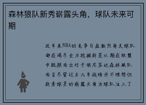 森林狼队新秀崭露头角，球队未来可期